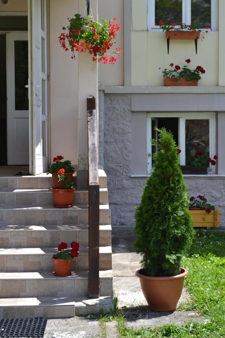 Pension Rose-Trandafirul Borsec Exterior photo